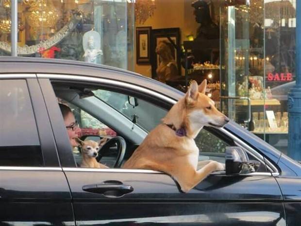 Klyker Picdump #1311 (51 photos)