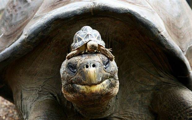 Klyker Picdump #1311 (51 photos)