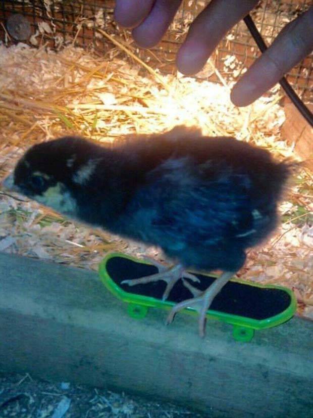 Klyker Picdump #1311 (51 photos)