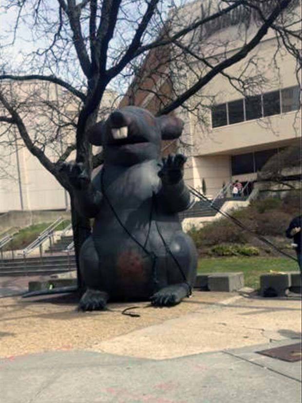 Klyker Picdump #1311 (51 photos)