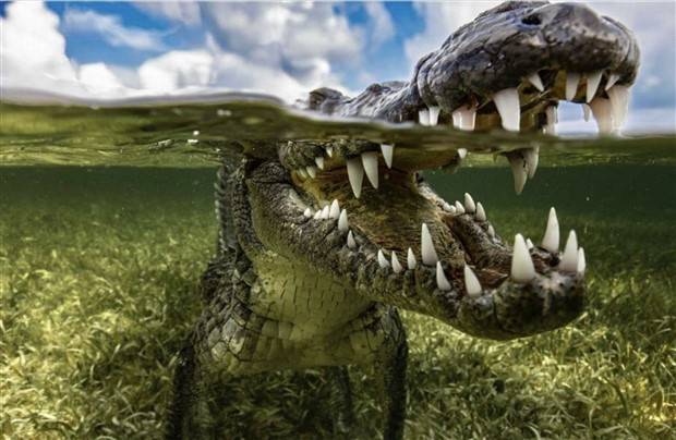 Klyker Picdump #1311 (51 photos)