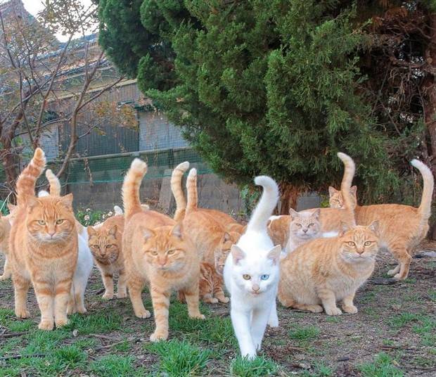 Klyker Picdump #1312 (52 photos)