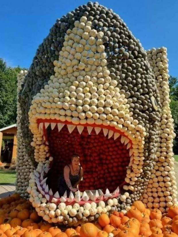 Klyker Picdump #1312 (52 photos)