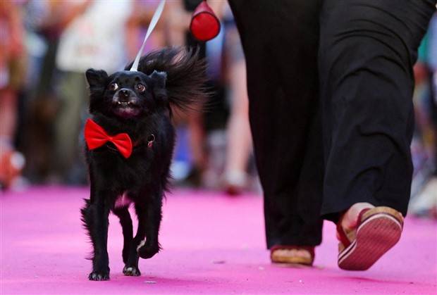 Klyker Picdump #1312 (52 photos)