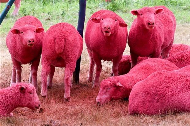 Klyker Picdump #1312 (52 photos)