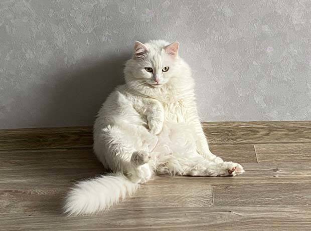 Klyker Picdump #1312 (52 photos)