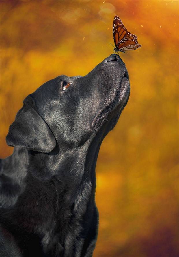 Klyker Picdump #1312 (52 photos)