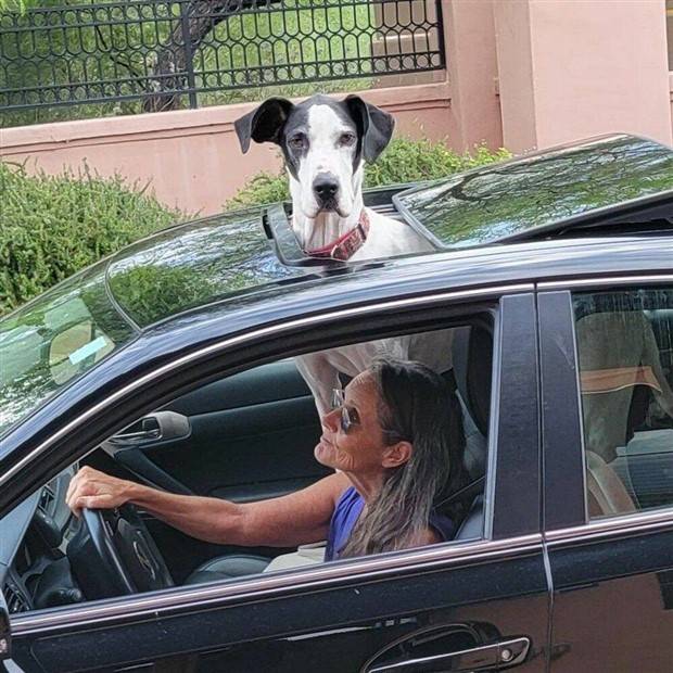 Klyker Picdump #1312 (52 photos)