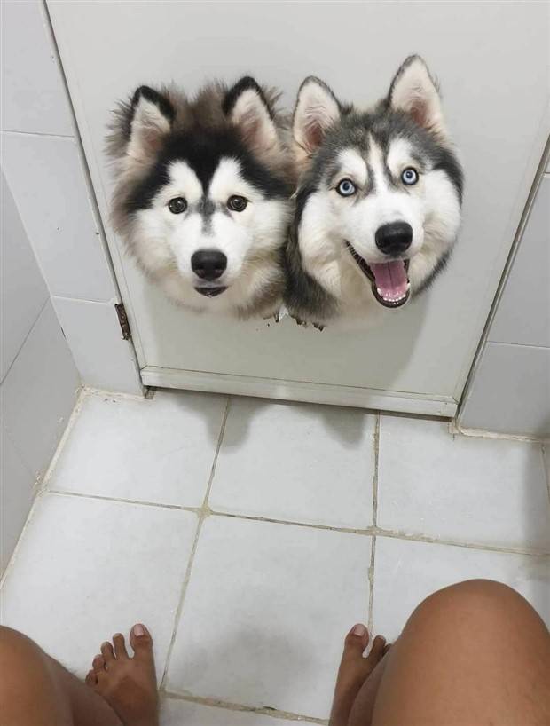 Klyker Picdump #1312 (52 photos)