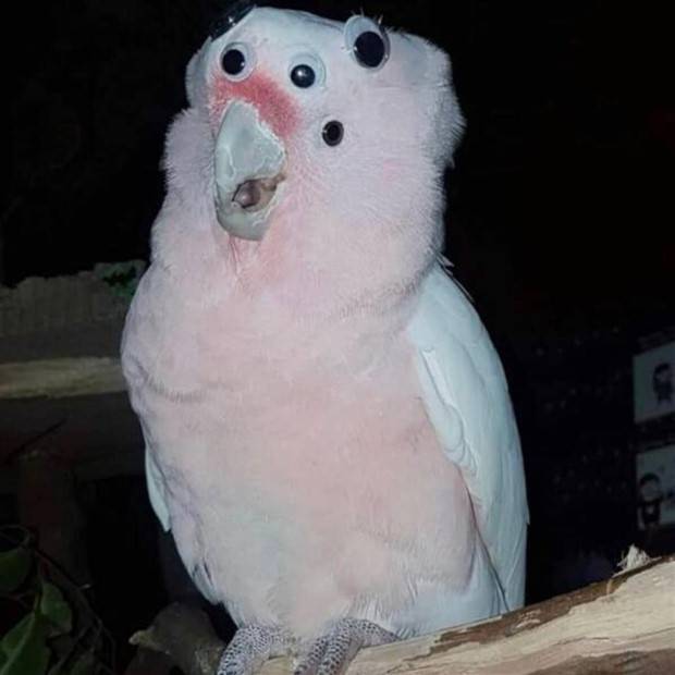 Klyker Picdump #1312 (52 photos)