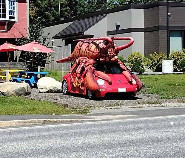 Klyker Picdump #1312 (52 photos)