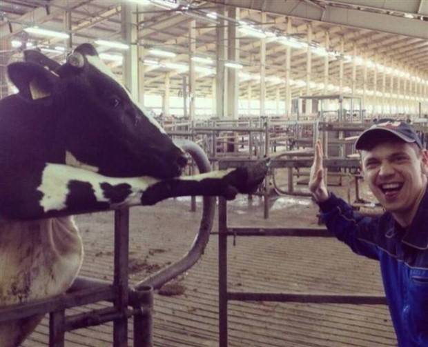 Klyker Picdump #1312 (52 photos)