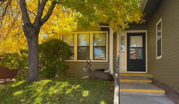 Klyker Picdump #1315 (55 photos)