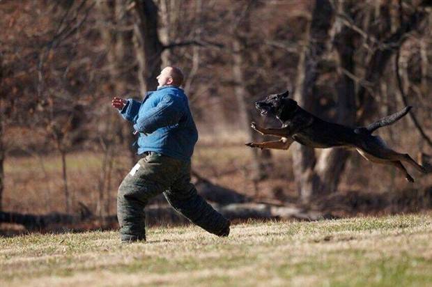 Klyker Picdump #1315 (55 photos)