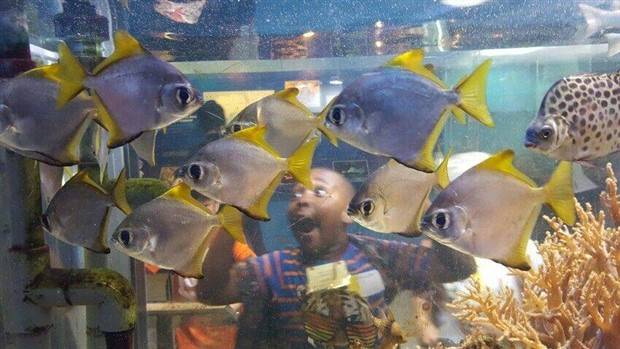 Klyker Picdump #1315 (55 photos)