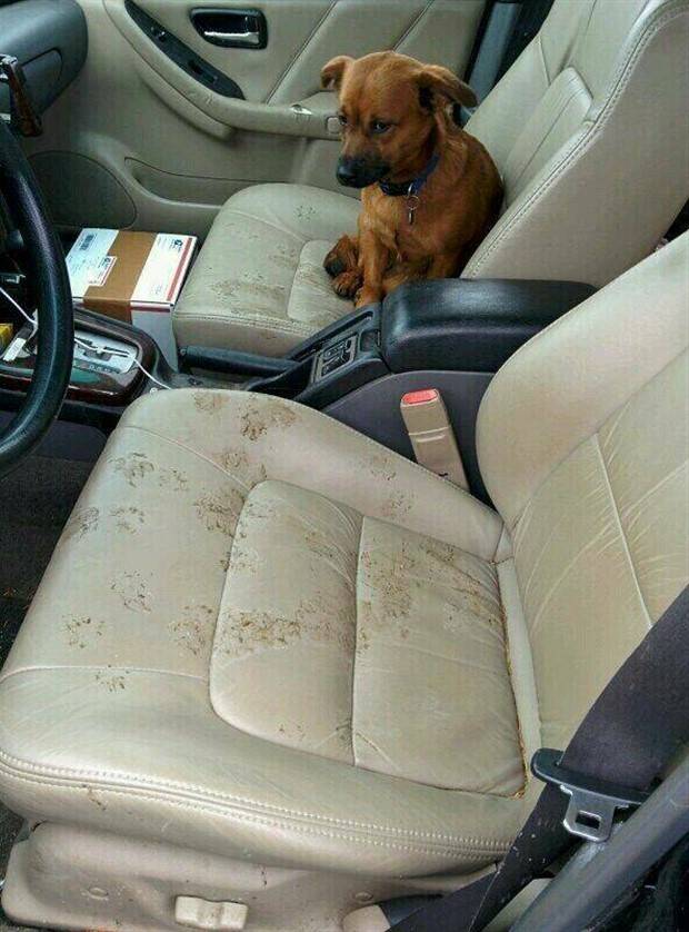 Klyker Picdump #1315 (55 photos)