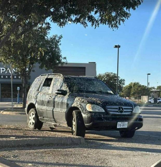 Klyker Picdump #1315 (55 photos)