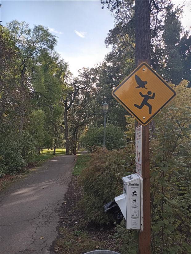 Klyker Picdump #1317 (52 photos)