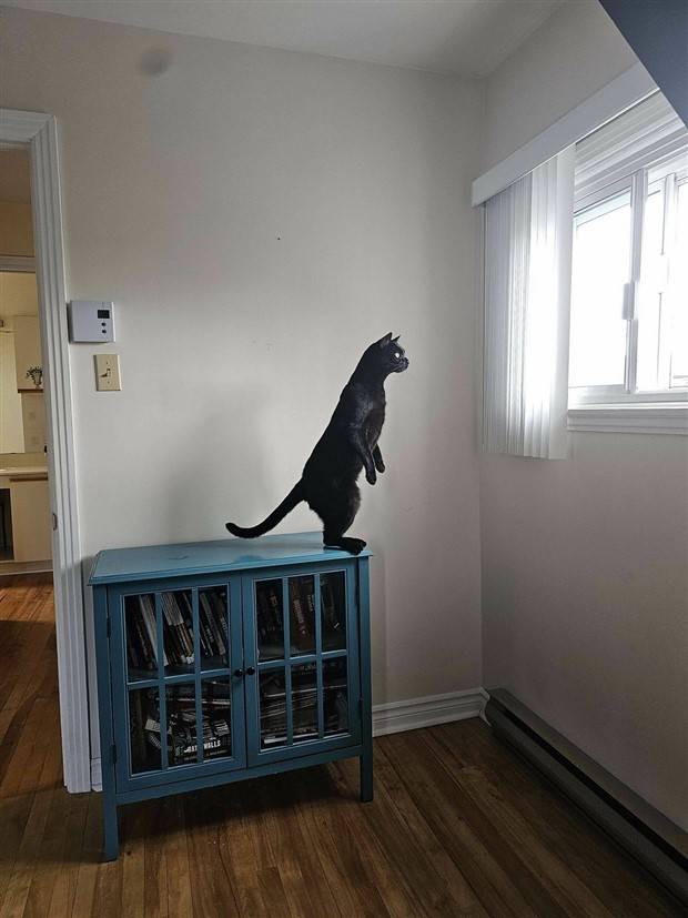 Klyker Picdump #1317 (52 photos)