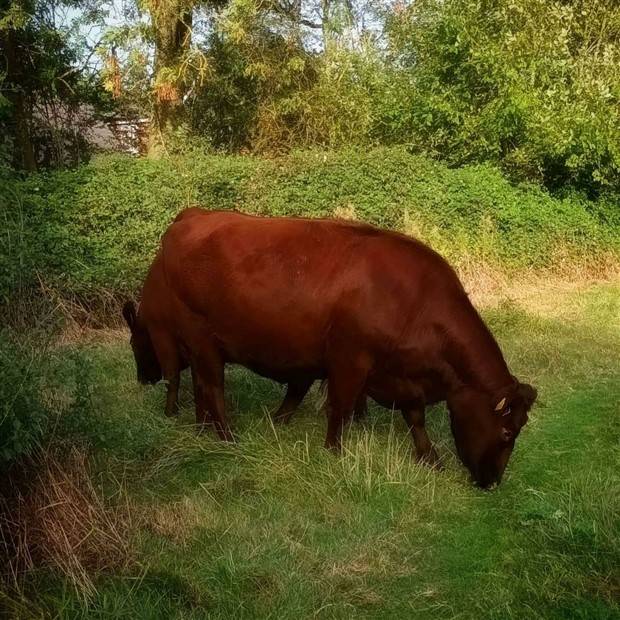 Klyker Picdump #1317 (52 photos)