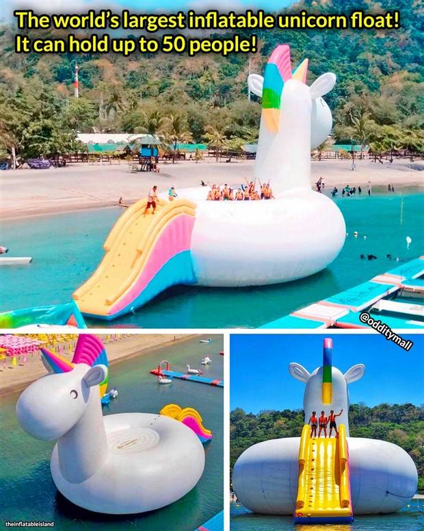 Klyker Picdump #1317 (52 photos)