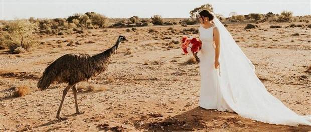 Klyker Picdump #1317 (52 photos)