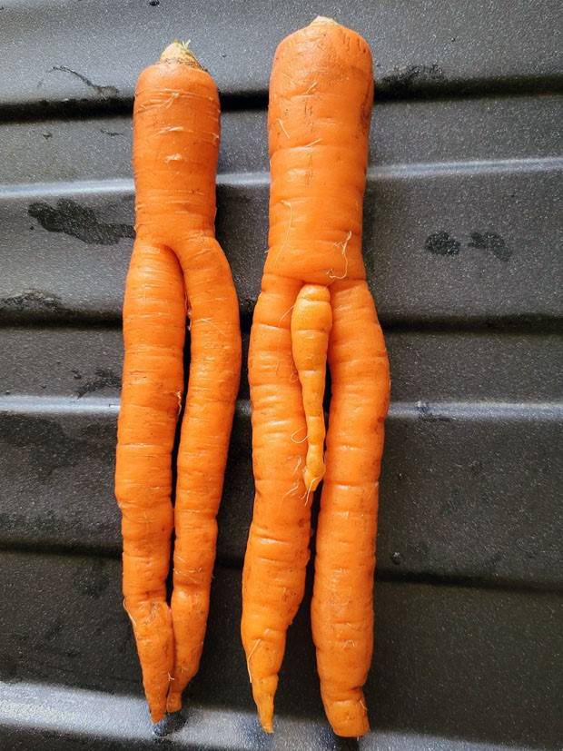 Klyker Picdump #1317 (52 photos)