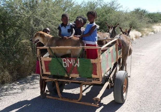 Klyker Picdump #1317 (52 photos)