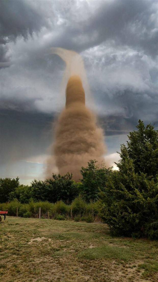 Klyker Picdump #1305 (55 photos)