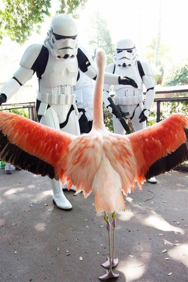 Klyker Picdump #1305 (55 photos)