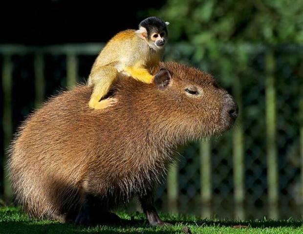 Klyker Picdump #1305 (55 photos)