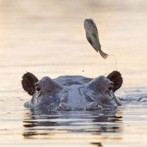 Klyker Picdump #1305 (55 photos)