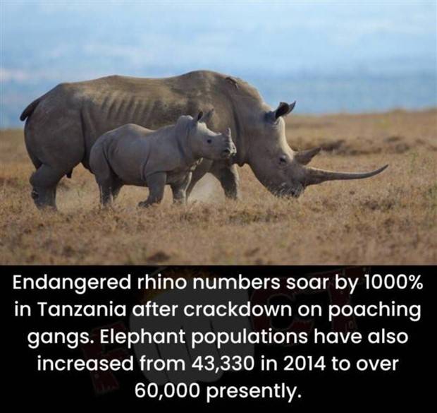 Klyker Picdump #1305 (55 photos)