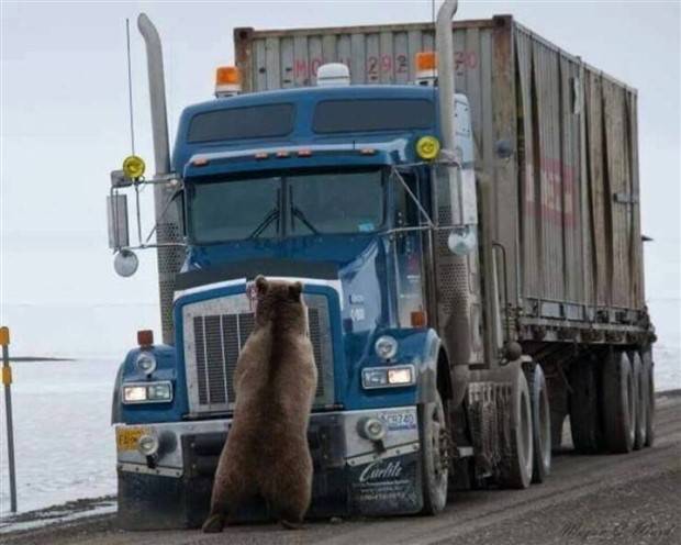 Klyker Picdump #1305 (55 photos)