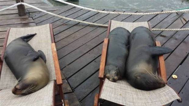 Klyker Picdump #1305 (55 photos)