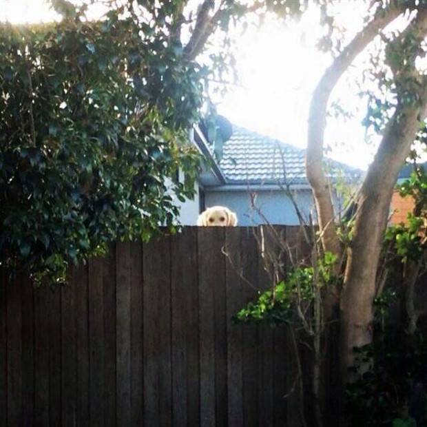 Klyker Picdump #1305 (55 photos)