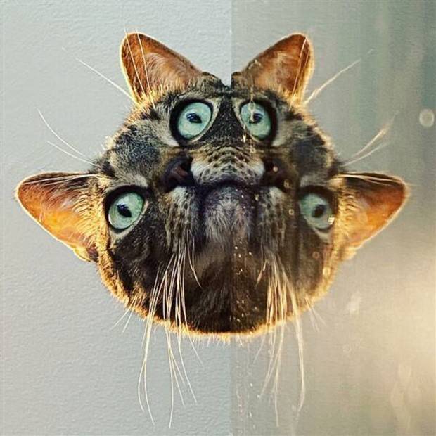 Klyker Picdump #1305 (55 photos)