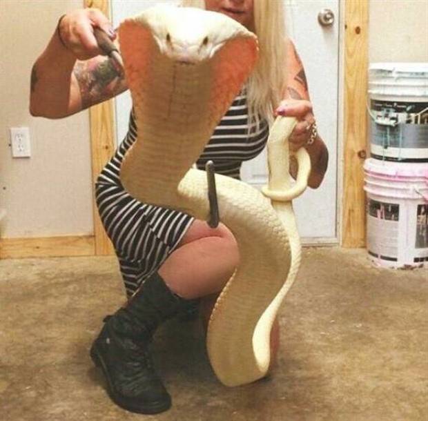 Klyker Picdump #1305 (55 photos)