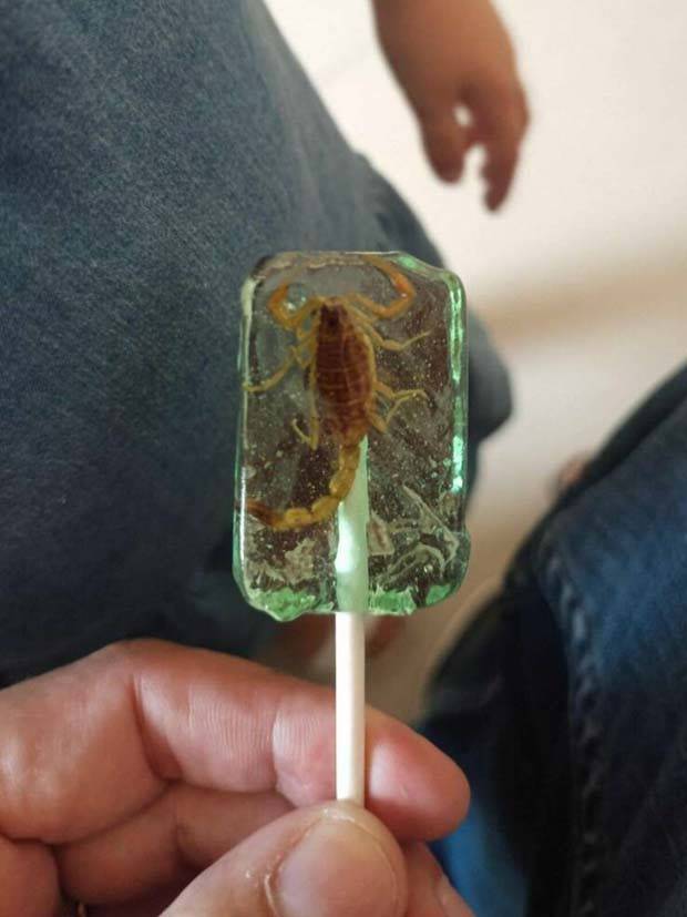 klyker picdump 9 10 2023 14 Klyker Picdump #1306 (51 photos)