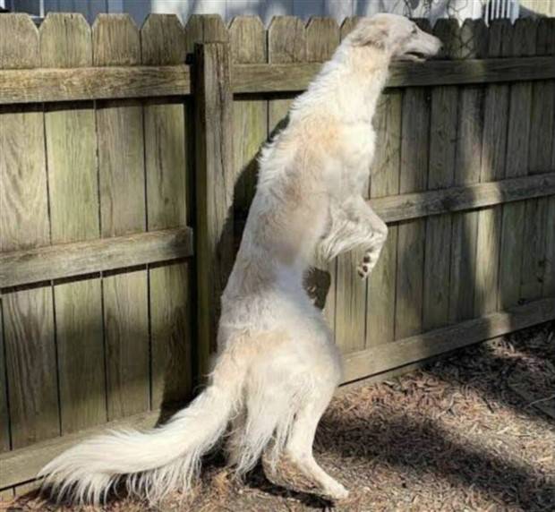 klyker picdump 9 10 2023 19 Klyker Picdump #1306 (51 photos)