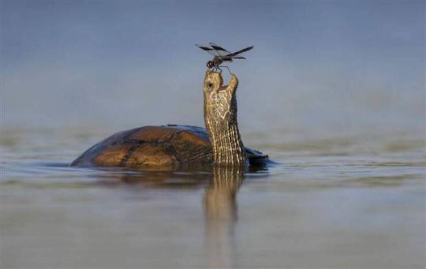 klyker picdump 9 10 2023 20 Klyker Picdump #1306 (51 photos)