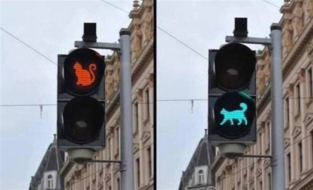 klyker picdump 9 10 2023 35 Klyker Picdump #1306 (51 photos)