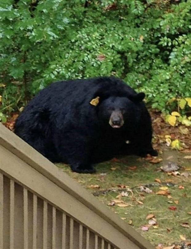 klyker picdump 9 10 2023 4 Klyker Picdump #1306 (51 photos)