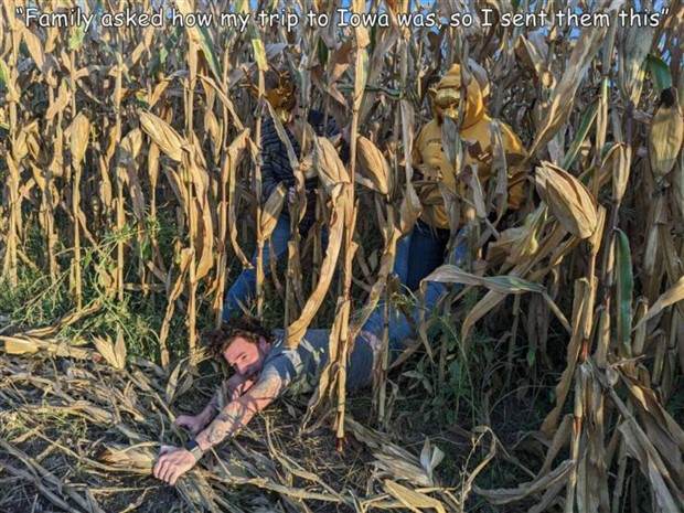 Interesting Pictures with Captions #73 (41 photos)