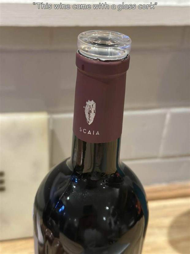 Interesting Pictures with Captions #73 (41 photos)