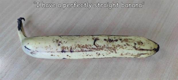 Interesting Pictures with Captions #73 (41 photos)