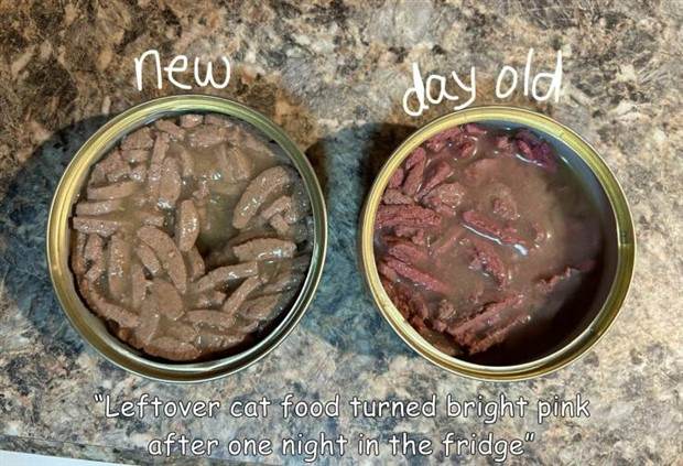 Interesting Pictures with Captions #73 (41 photos)