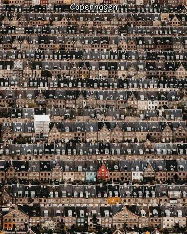 Interesting Pictures with Captions #73 (41 photos)