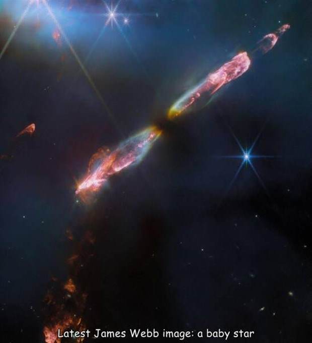 Interesting Pictures with Captions #73 (41 photos)