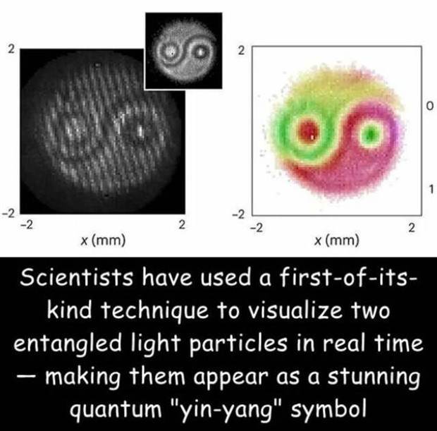 Interesting Pictures with Captions #73 (41 photos)